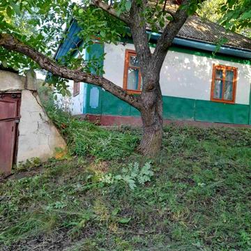 Продається будинок, Крикливець  (Крижанівський  р-н) з земельною ділян