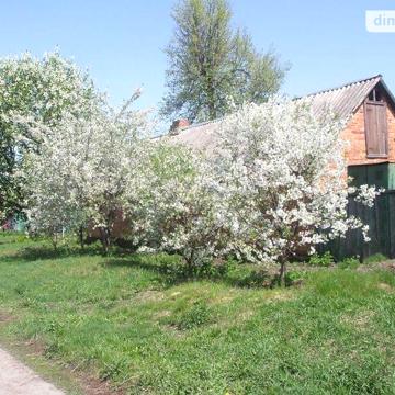 Продаж 3к Дім