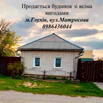 Будинок з меблями і технікою