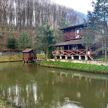 Будинок в Карпатах (15 км Косів), обладнаний під форелеве господарство