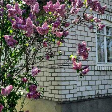 Продам дачу (дом-термос) с возможностью проживания круглый год.