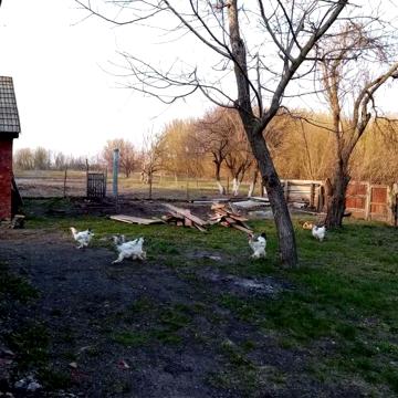 Продам будинок с. Сухоярівка
