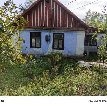 Продається два будинки на одній ділянці.