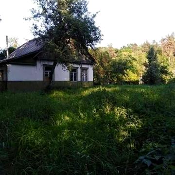Будинок з великою ділянкою, під ремонт.