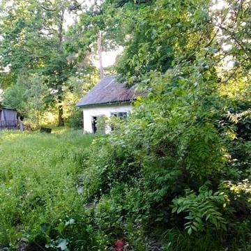 Будинок з великою ділянкою, під ремонт.