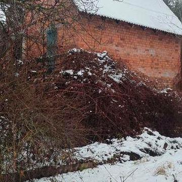 Садовий будинок ст " прожектор"