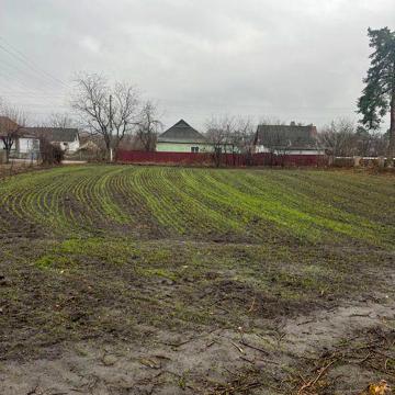 Продам будинок в с.Синява, Білоцерківського району