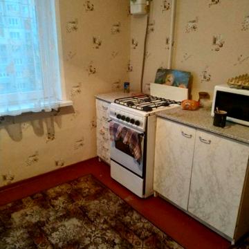 Здам 1-кімнатну квартиру в оренду