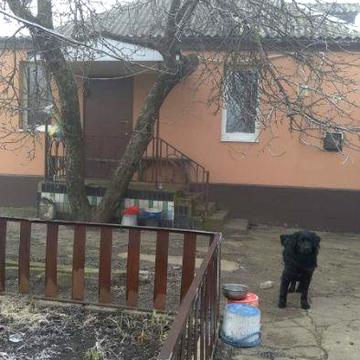 Продам 2 будинки на ділянці Іларіонове