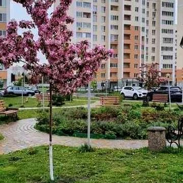 2-кімнатна квартира(68,4 кв.м). Власник. Без комісії.Документам 3 роки ЖК Софія Київська