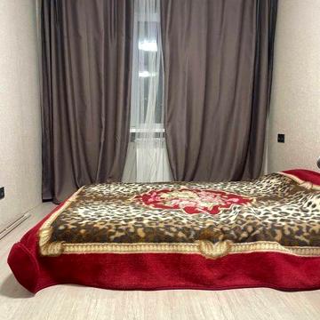Сдам квартиру, метро Политехническая (КПИ), центр, парк