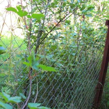 Ваша  ОСЕЛЯ  -   двоповерховий будинок   з бомбосховищем в Березині