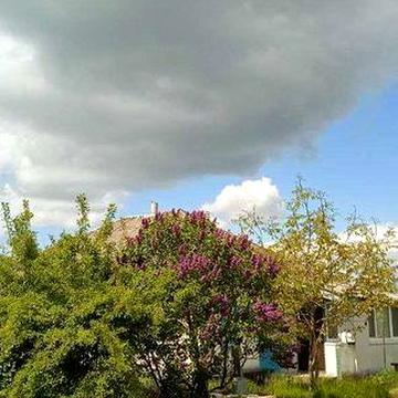 Будинок з ділянкою біля р. Десна