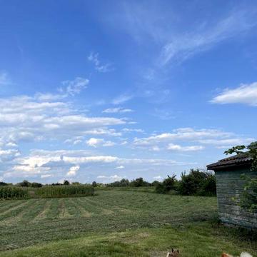 Дом с участком с. Веприк
