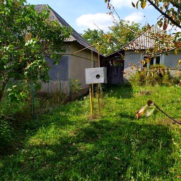 Дім в Карпатах. Закарпатська обл.