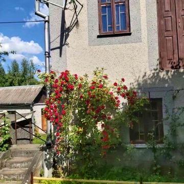 Продам 2 будинки у м. Хмільник з ділянкою 1 га