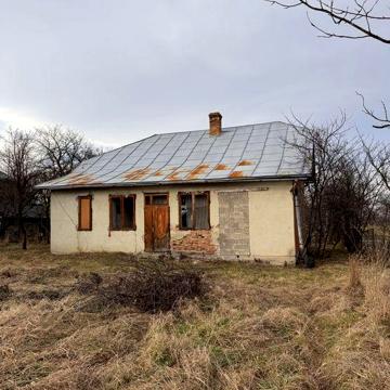 Житловий будинок з ділянкою.