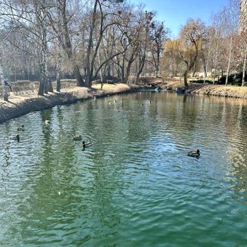 Є ГЕНЕРАТОР!Власник! ЖК « Паркове Місто» ЖК Паркове Місто
