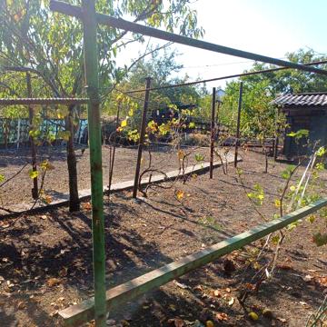 Продам дачу в садовом кооперативе "Мукомол" рядом пгт Малокатериновка