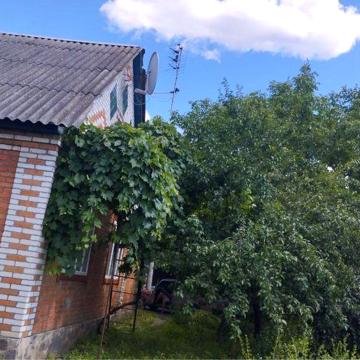 Будинок в центрі, 4 кімнати, гараж, погріб, сарай, свердловина,5 соток
