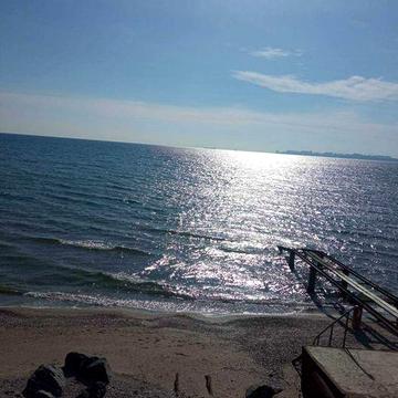 Дача на берегу моря 1 линия Крыжановка.