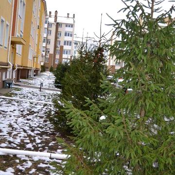 Квартира 1-кімнатна з ремонтом в ЖК Гранд Віллас + кладова ЖК Гранд Віллас