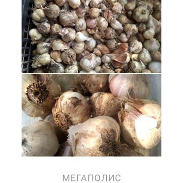 Продаж будинку м.Апостолове