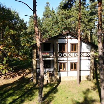 Продам новый дом (будинок в лісі) в лесу
