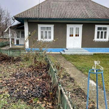 Житловий будинок та господарські будівлі