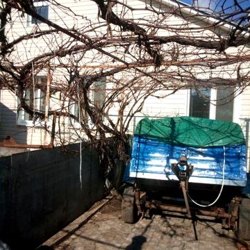 Продам приватизований будинок