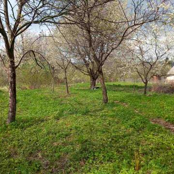 Срочно Продам будинок з землею в Делятин