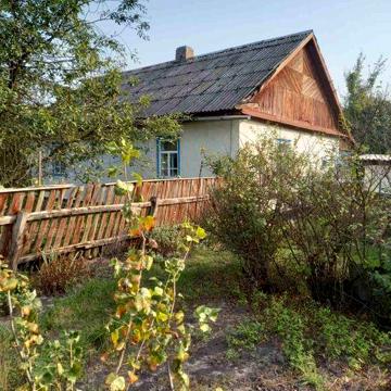 Продам будинок в смс.Нова Борова