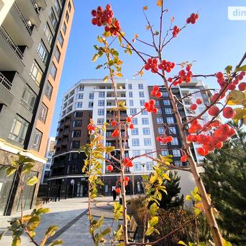 Продаж 3к Квартира Кобилянської Ольги вулиця ЖК Синергия Сити