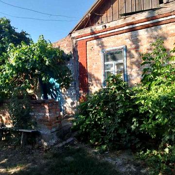 Продаж будинку з великою територією в с. Петрово