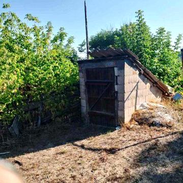 Продаж будинку з великою територією в с. Петрово