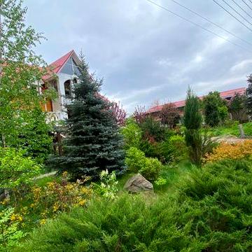Оренда с. Нещерів, м. Обухів 4км.