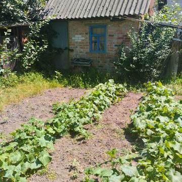 Продам невеликий будинок