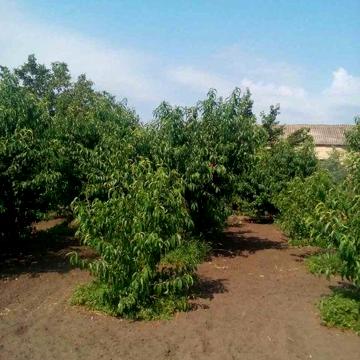 Продам дом Одеська обл. Роздільнянський  рн. пгт Ліманське