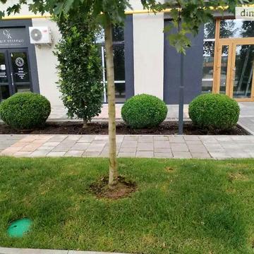 Продаж 1к Квартира Миколи Сингаївського (Новооскольська) вулиця ЖК Бургундия