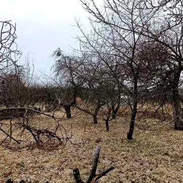 Продам будинок село Зуївці