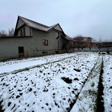Виноградна