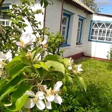 Продам Будинок з санвузлом, 25 соток землі с.МоскаленкИ