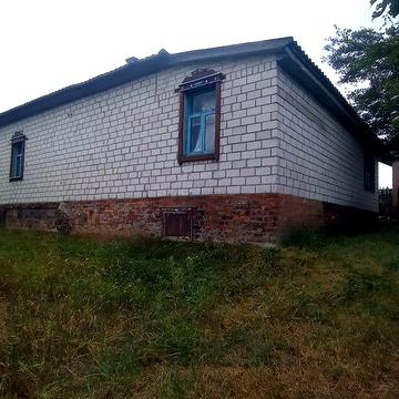 Продам будинок під лісом біля Чернігова.