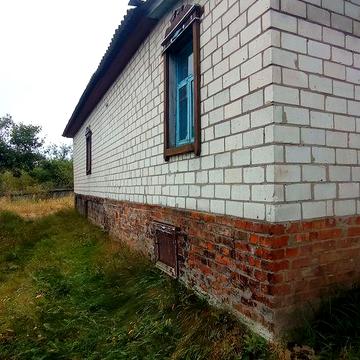 Продам будинок під лісом біля Чернігова.