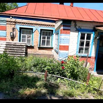 Центральна вул.