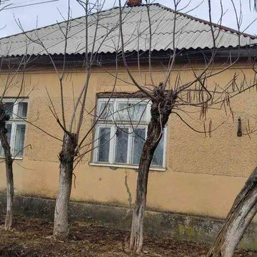 Продається будинок в Закарпатській обл. смт. Королево вул. Петрова 22