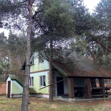 Продається будинок з виробничим комплексом у с. Гречаники