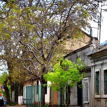 Продаж 3к Частина будинку Ломоносова вулиця