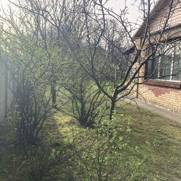 Будинок в Києві (продаж)