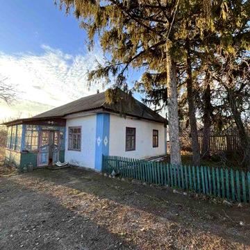 Продаєтся будинок в с. Салькове